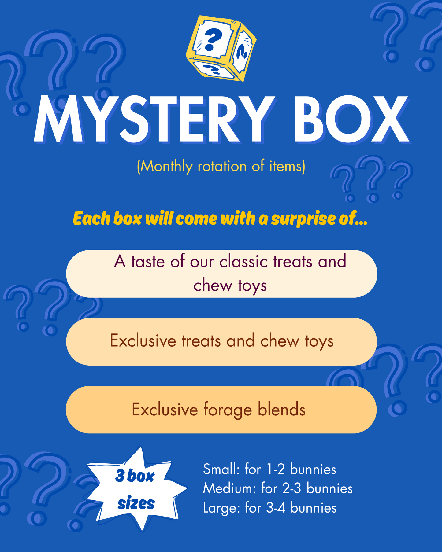 Mystery Box (Monthly Rotation of Items) - Will be ready to be shipped/picked up after Oct 31st