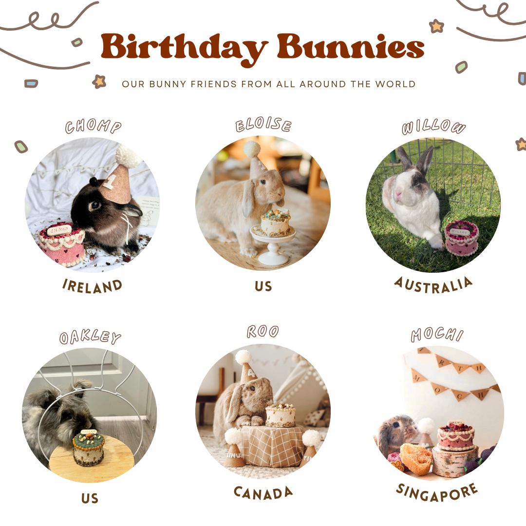 Bunday birthday palooza | Party celebration bundle (accepting orders for birthdays on October 24th and onwards)