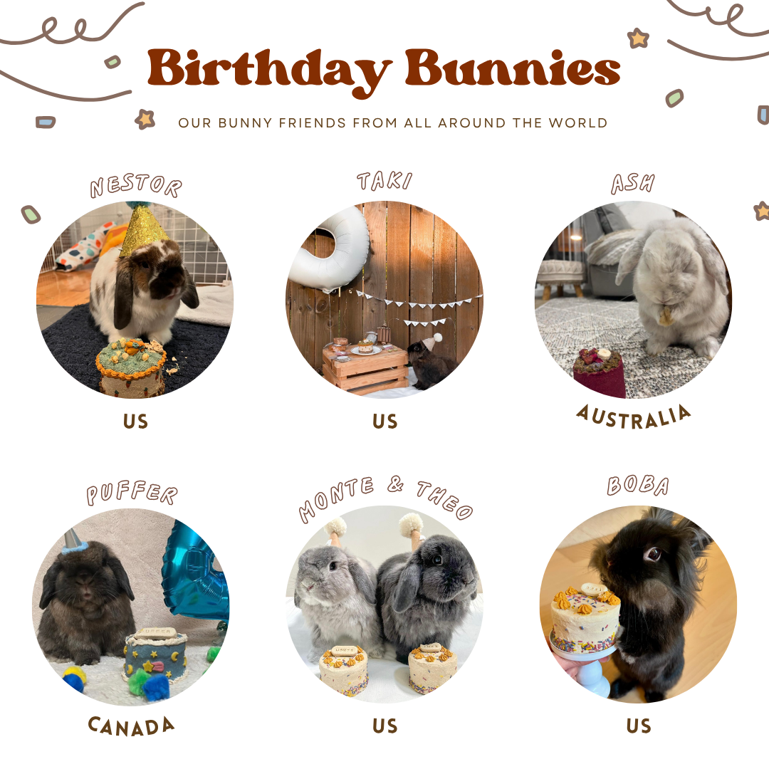 Bunday birthday palooza | Party celebration bundle (accepting orders for birthdays on October 24th and onwards)