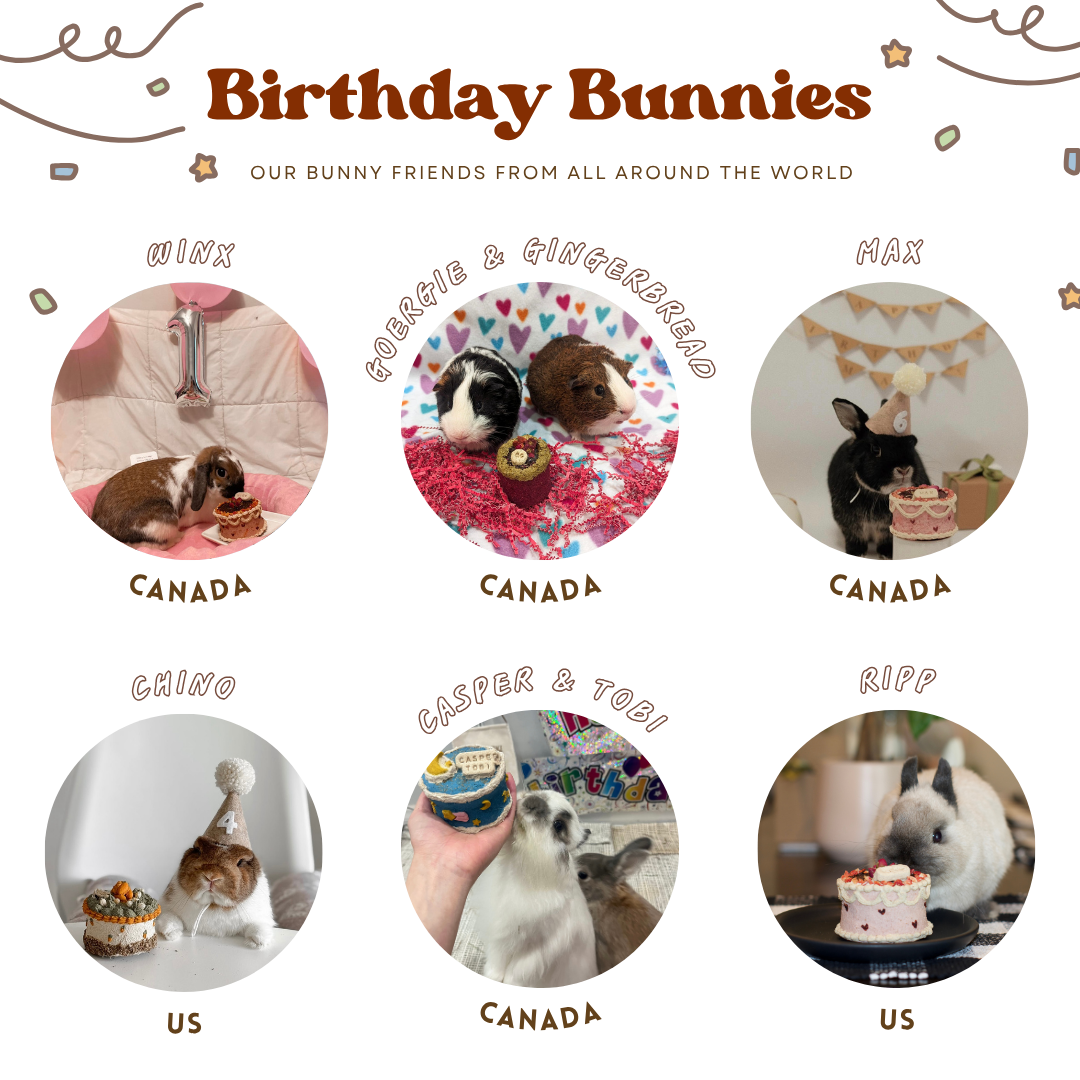 Bunday birthday palooza | Party celebration bundle (accepting orders for birthdays on October 24th and onwards)