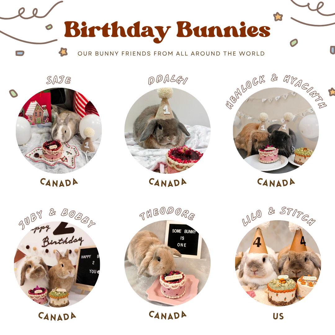 Bunday birthday palooza | Party celebration bundle (accepting orders for birthdays on October 24th and onwards)