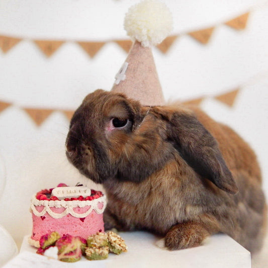 Bunday birthday palooza | party celebration bundle (*ONLY taking orders for birthdays in the June 14th and onwards*)