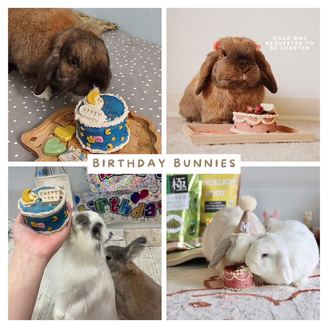 Bunday birthday palooza | party celebration bundle (*ONLY taking orders for birthdays in the 1st week of June and onwards*)