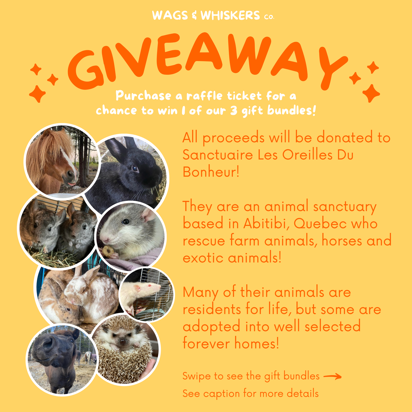 *ENDED* GIVEAWAY - Raffle gift bundles | All proceeds will be donated to Sanctuaire Les Oreilles Du Bonheur