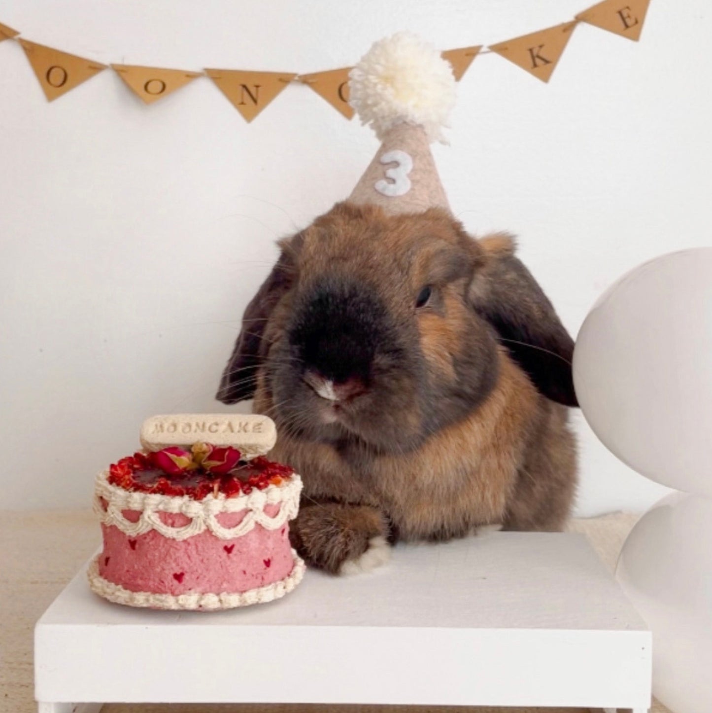 Bunday birthday palooza | party celebration bundle