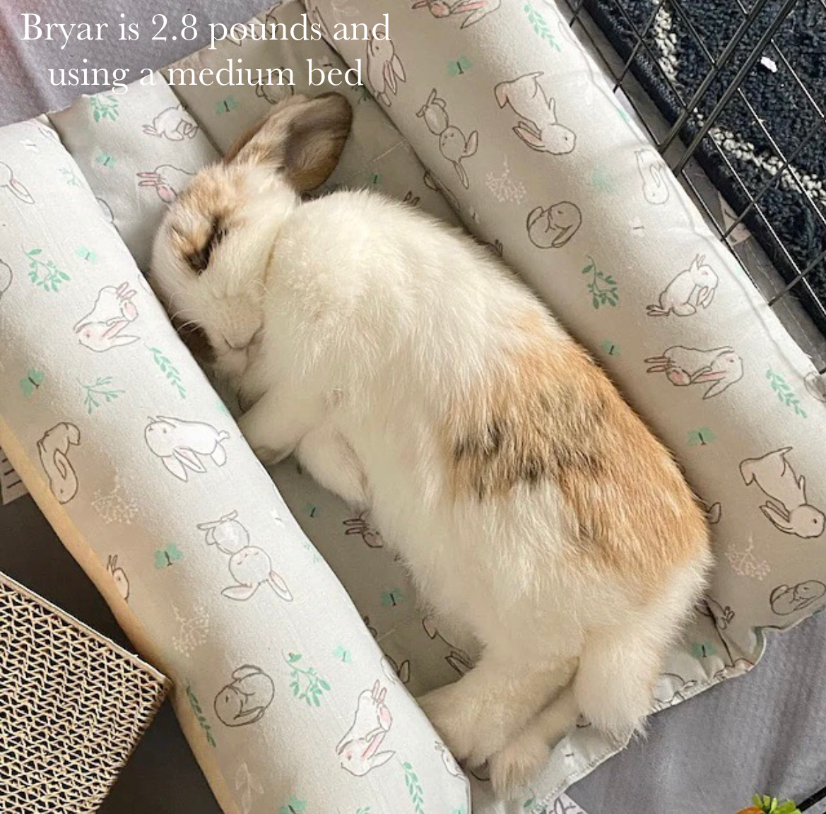 (ONLY 1) MEDIUM Bun Bed *20% off automatically applied at checkout* - Grey bunny