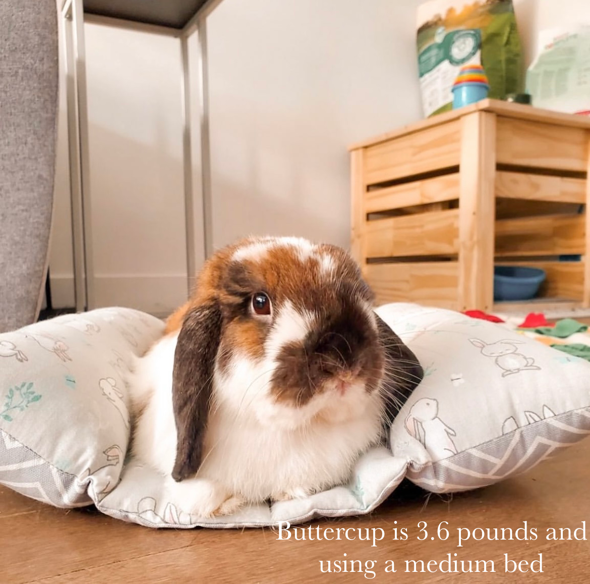 Llamas (bun bed)