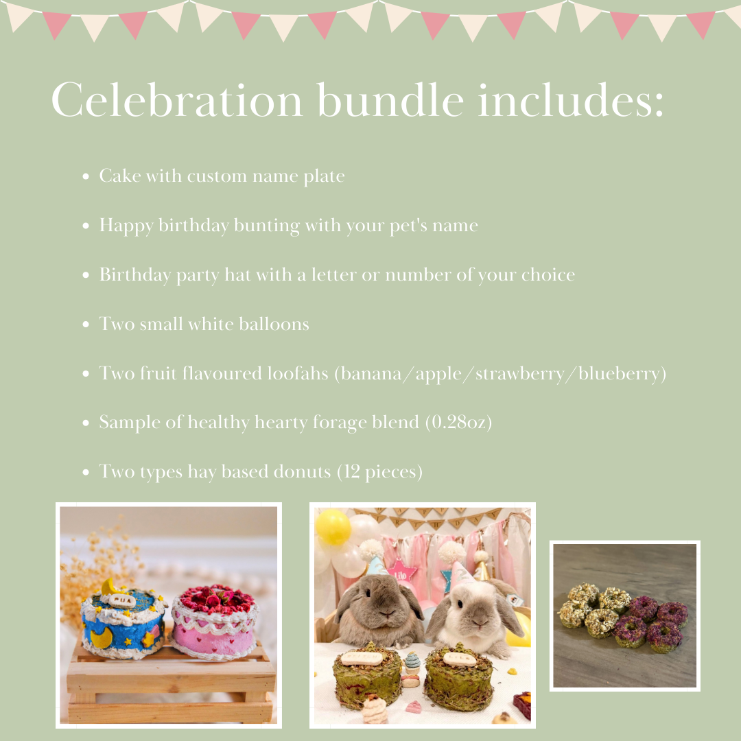 Bunday birthday palooza | party celebration bundle (*ONLY taking orders for birthdays in the 1st week of June and onwards*)