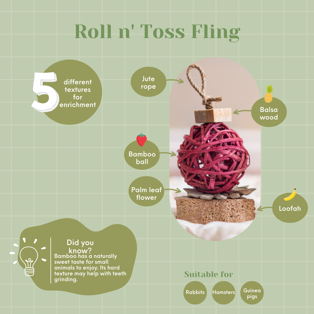 Roll N' Toss Fling Toy