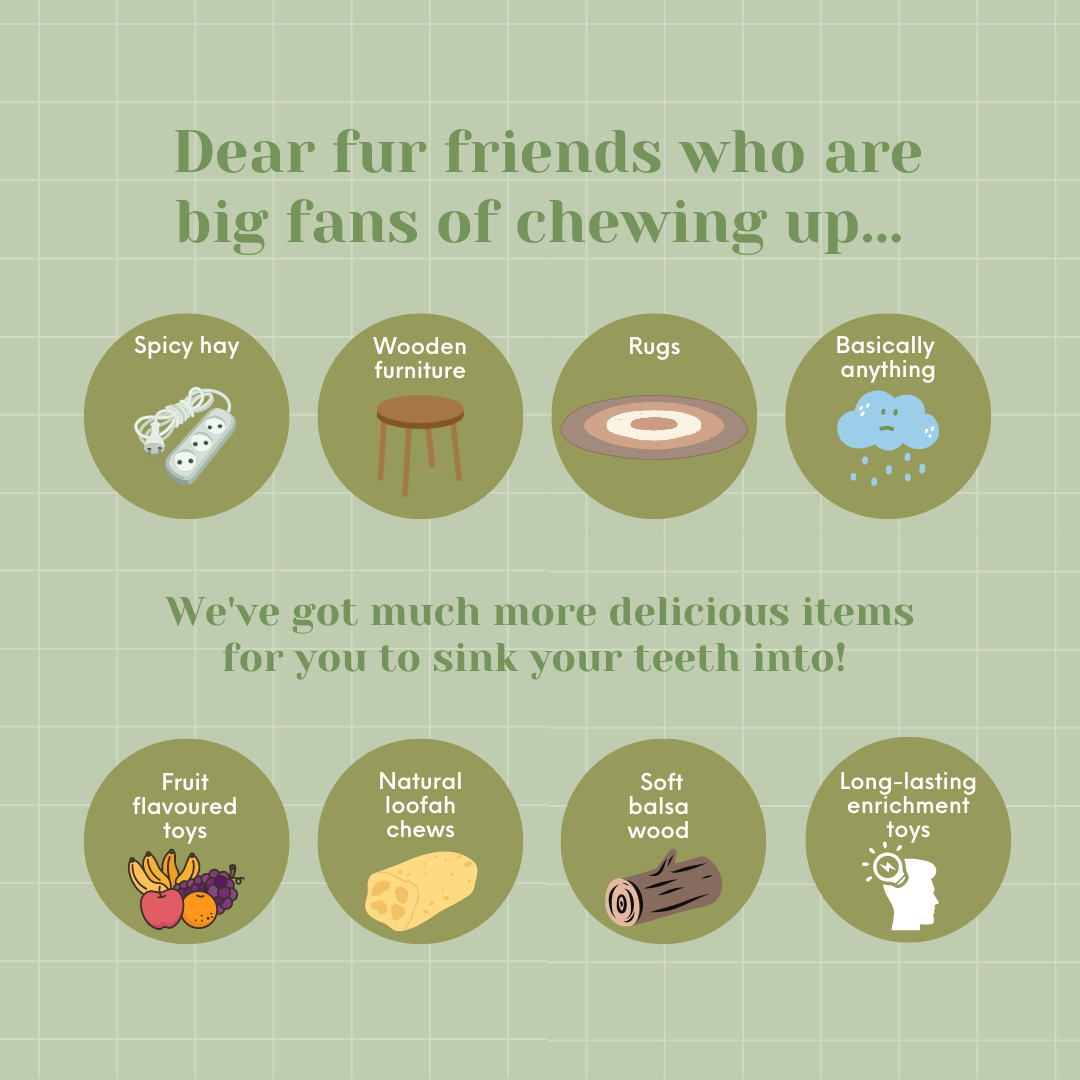 Balsa Chews