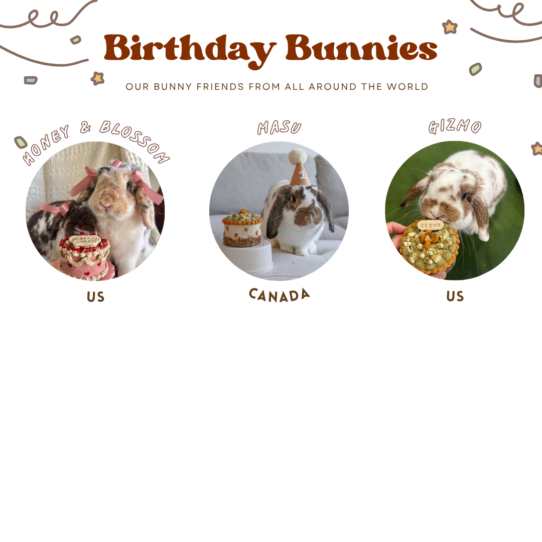 Funfetti Cake | Gotcha Day/Birthday Cake (accepting orders for birthdays on Nov 20th and onwards)