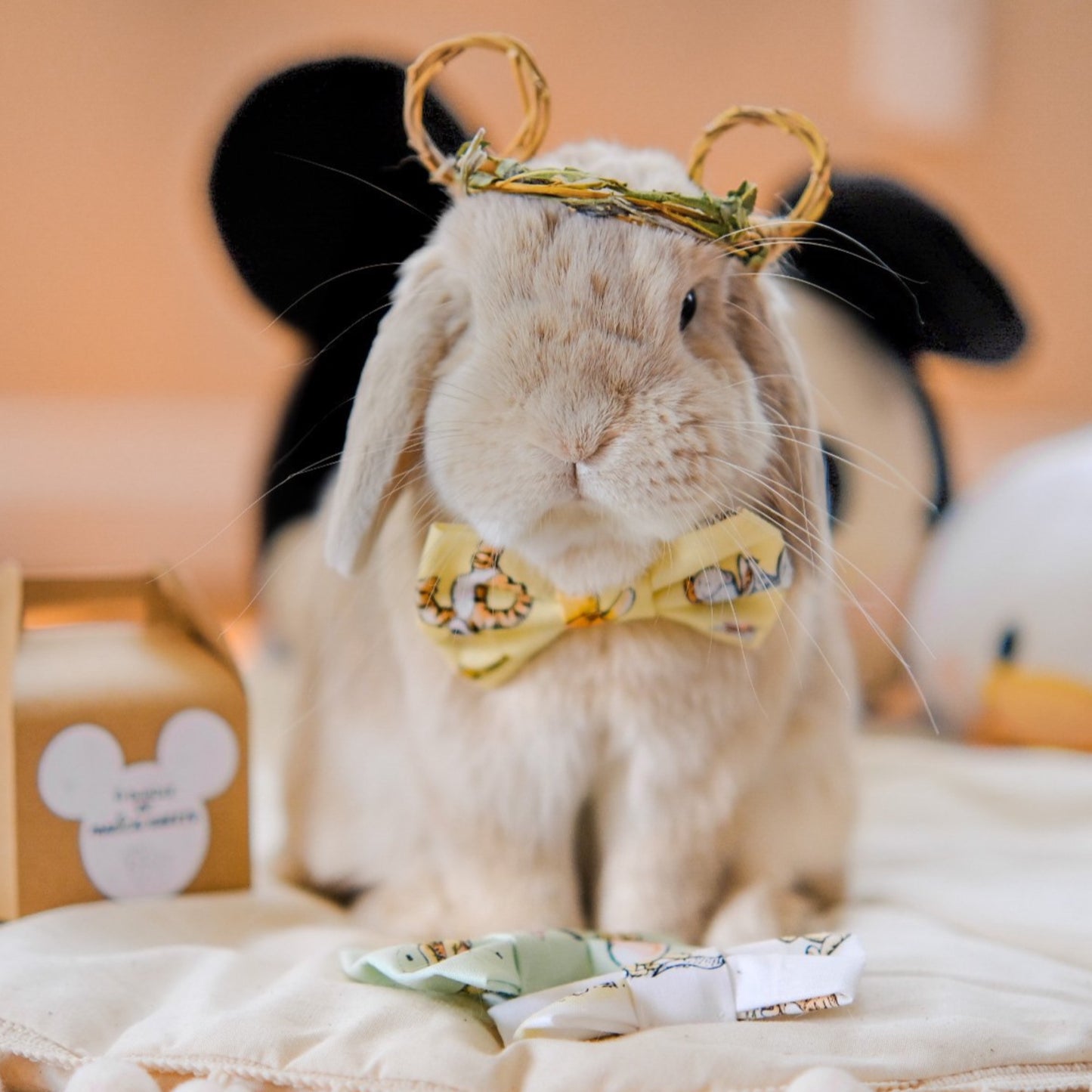 A Bundle of Magical Sweets | Disney Inspired Treats