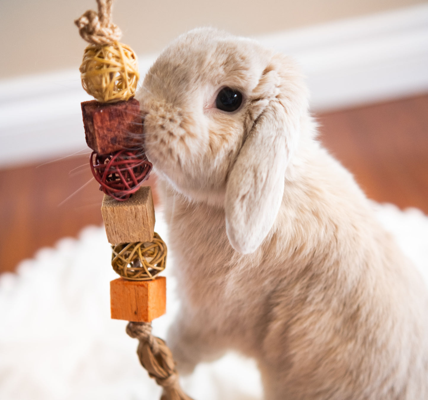 Chew Fling Toys *currently 2-3 week processing time*
