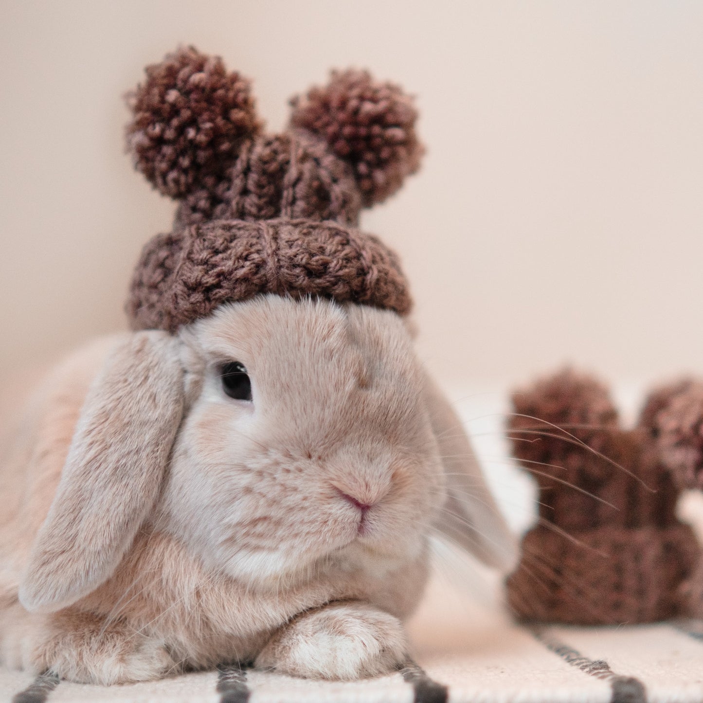 Bear Beanie | for lop-eared rabbits