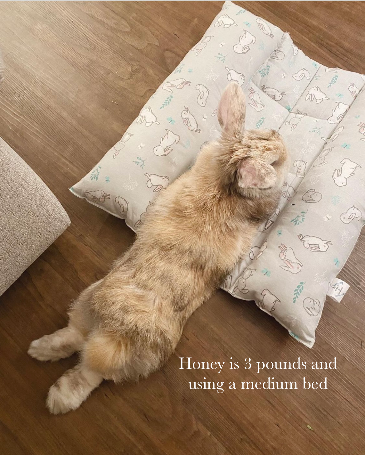 Cotton Muslin (bun bed) | 20% OFF *applied at checkout*