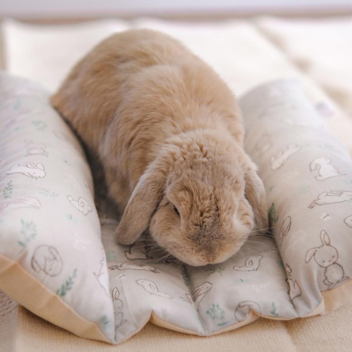 Pink Bunny (bun bed)