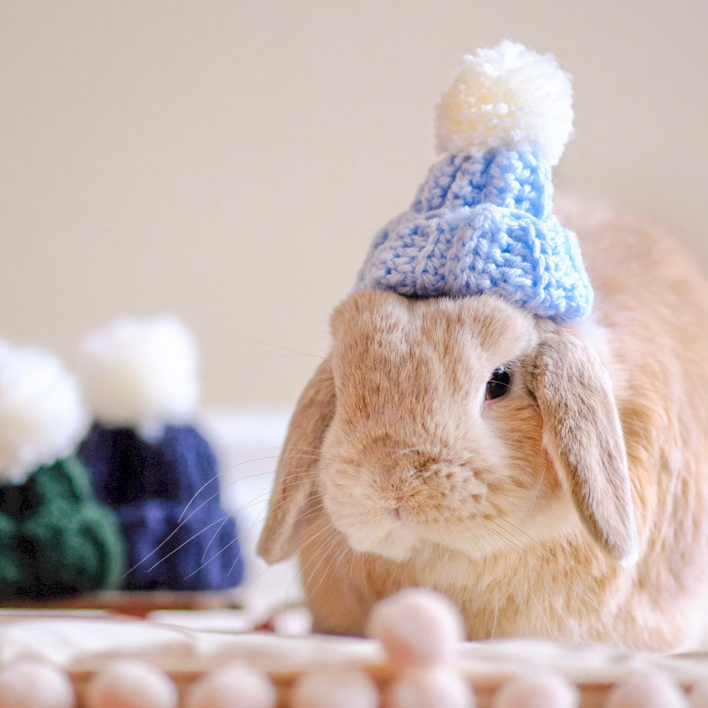 Bunny Beanie | For Lop-eared Rabbits