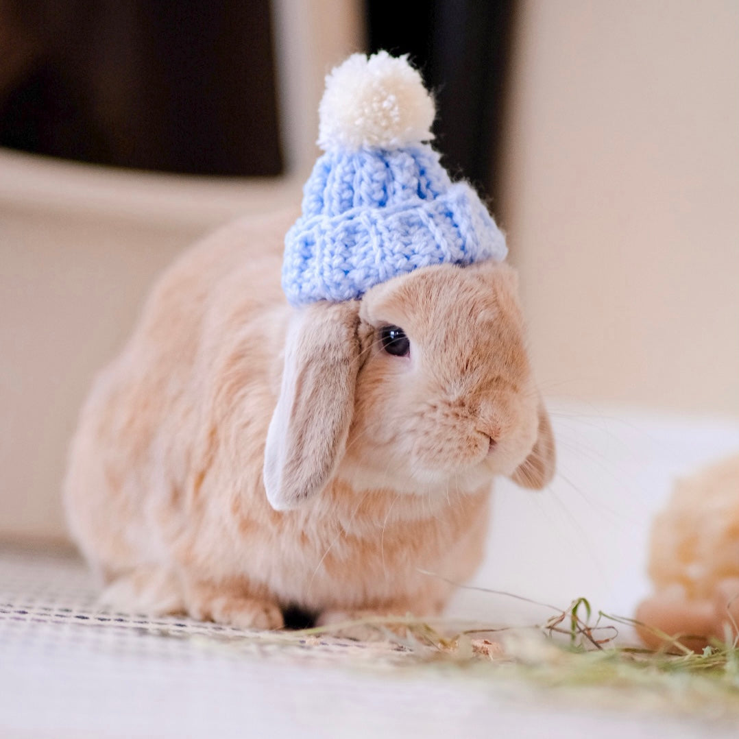 Bunny Beanie | For Lop-eared Rabbits