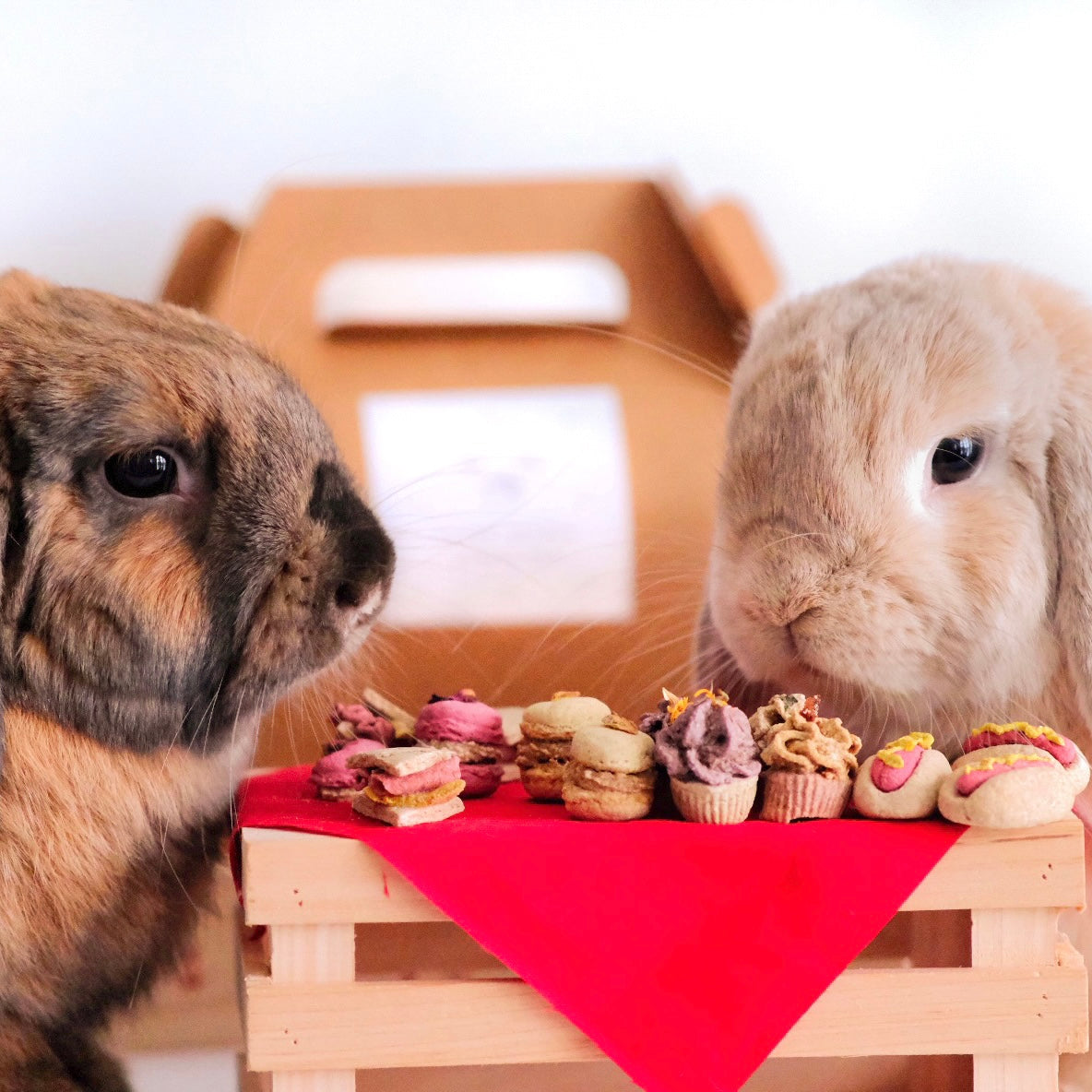 Bunny Brunch Picnic Box