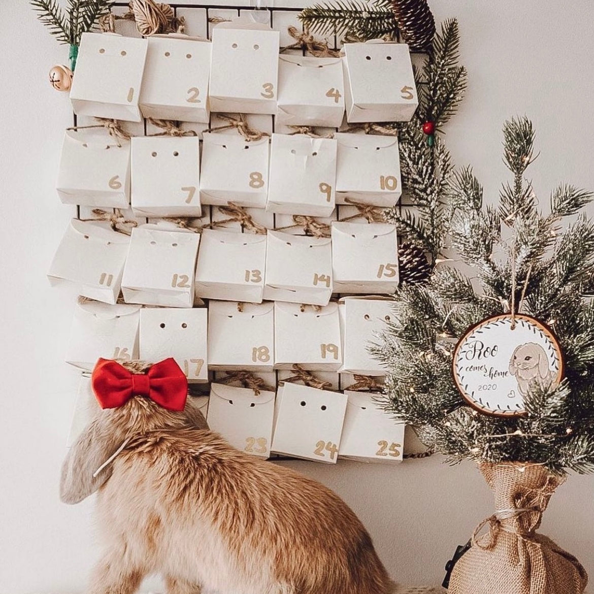 2023 12 day Advent Calendar (PRE-ORDER)