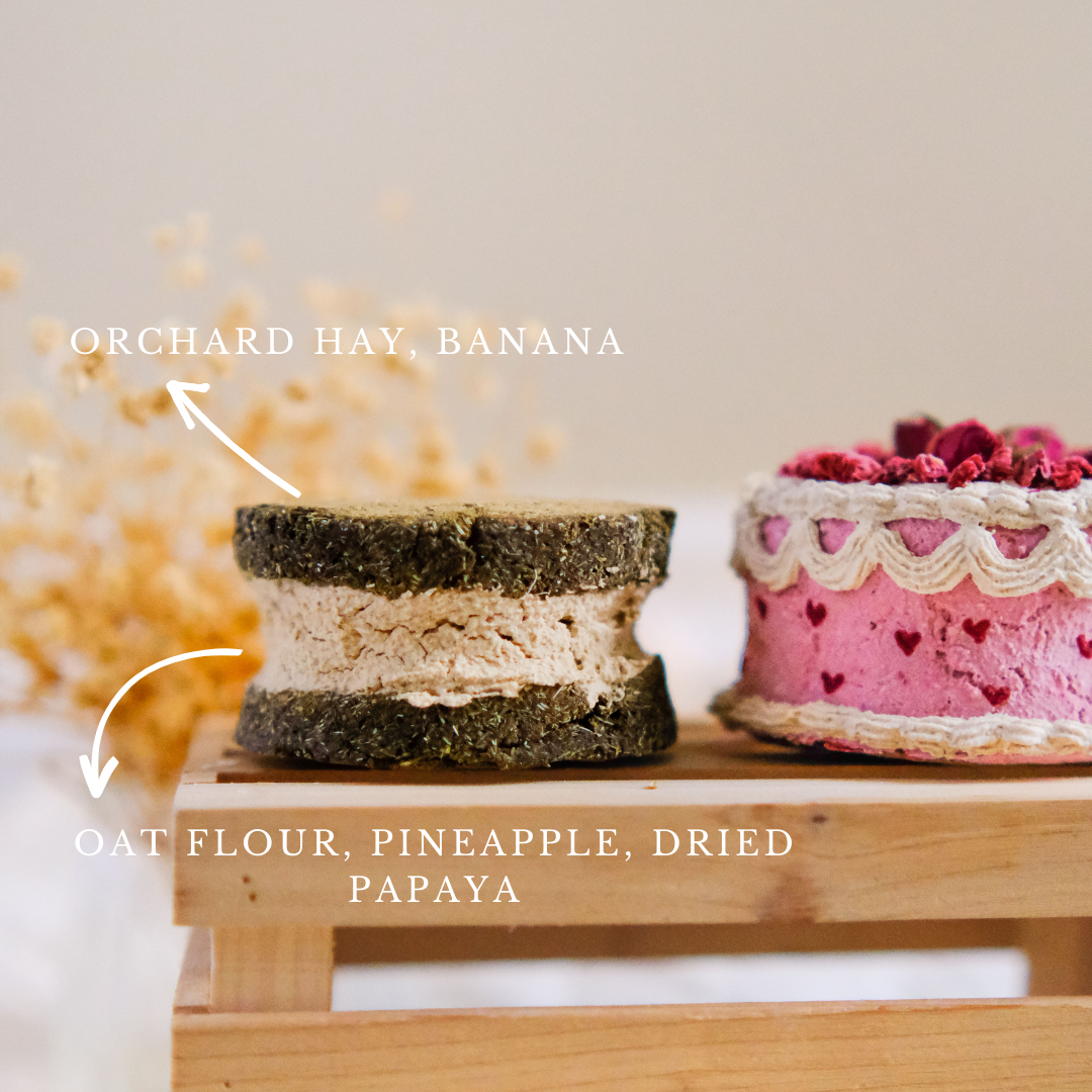 Fruity Tuitty Cake | Birthday/Gotcha Cake (accepting orders for birthdays on Nov 20th and onwards)