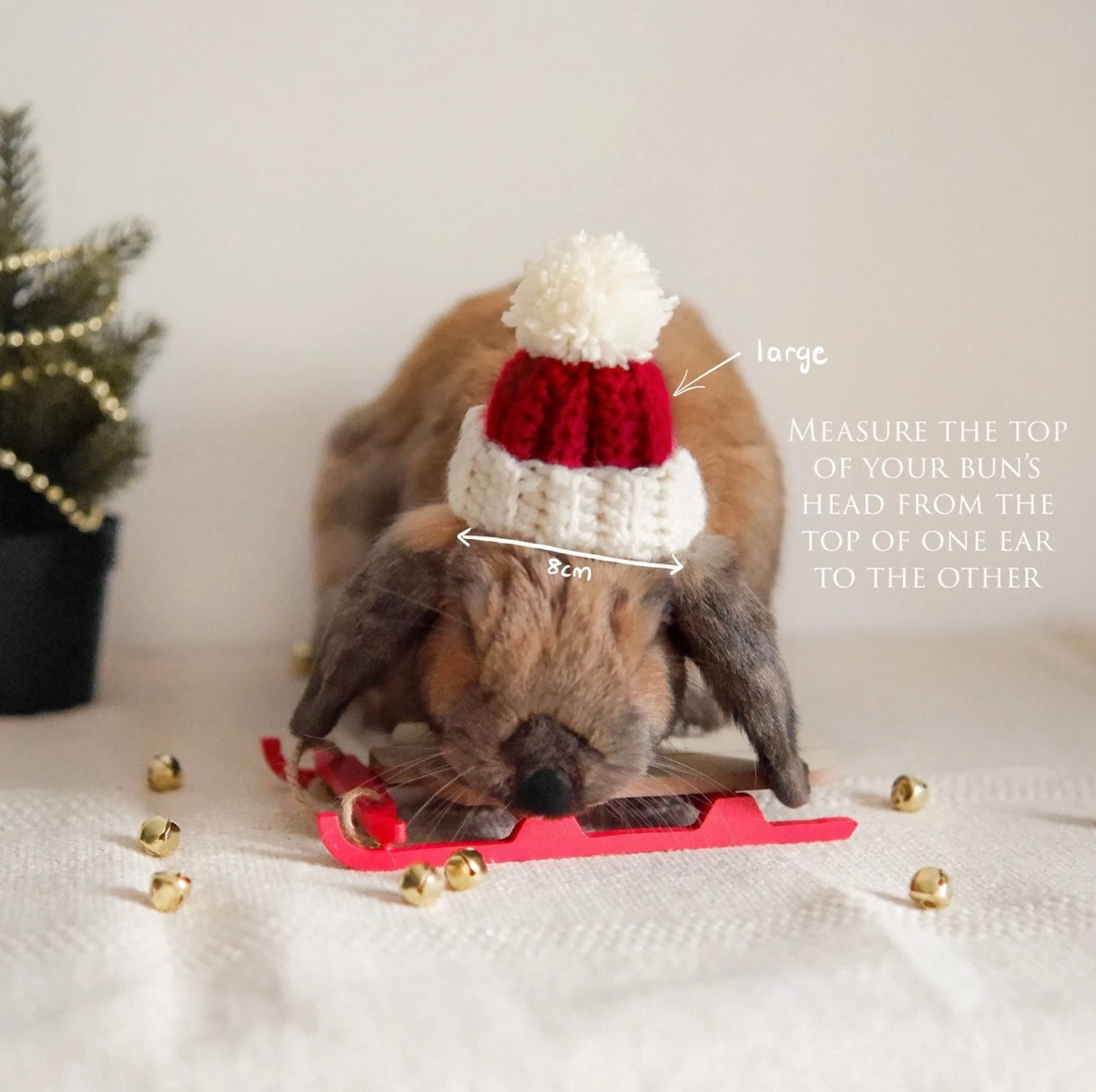 Bear Beanie | for lop-eared rabbits