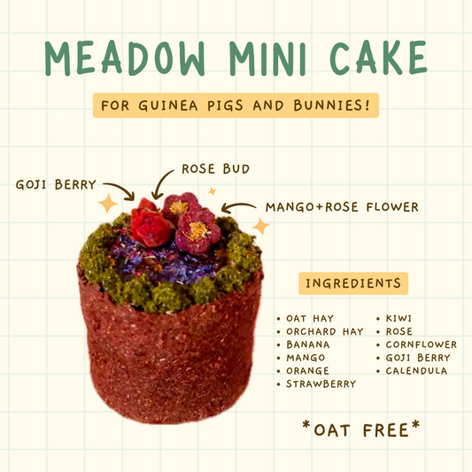 Meadow Mini Cake | For Guinea Pigs and Bunnies