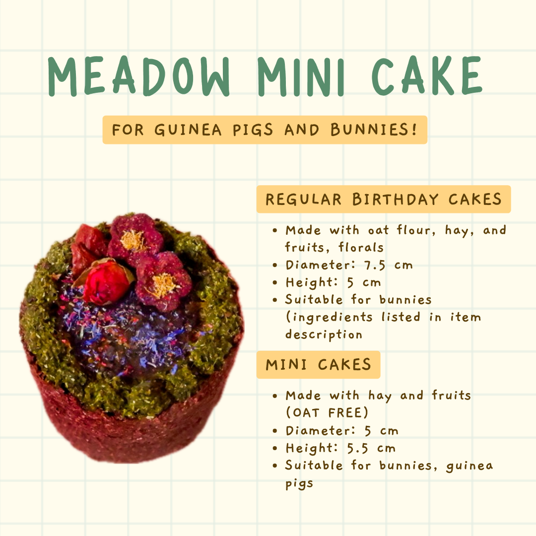 Meadow Mini Cake | For Guinea Pigs and Bunnies (*ONLY taking orders for birthdays in the 4th week of May and onwards*)