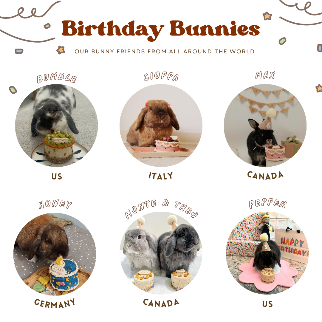 Bunday birthday palooza | Party celebration bundle (accepting orders for birthdays on October 24th and onwards)