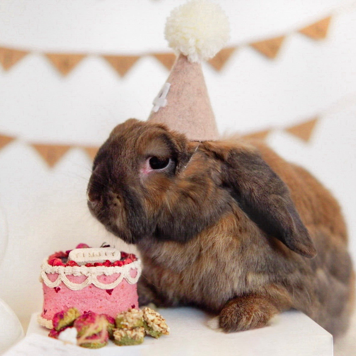 A Field of Carrots Cake | Birthday/Gotcha Cake (*ONLY taking orders for birthdays on April 20th and onwards*)