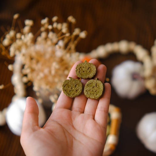 Spooky Pumpkin Bites | Hay Based Halloween Treats