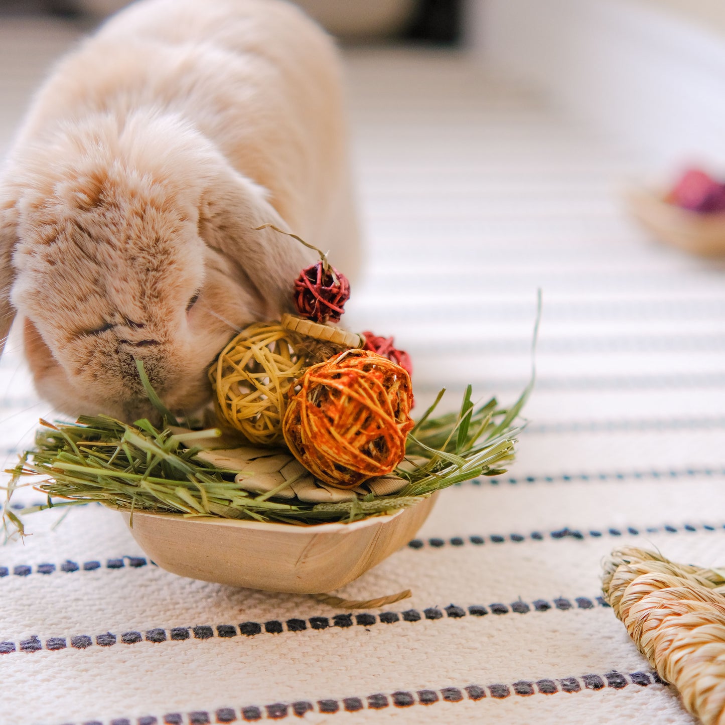 Sundae Foraging Bowl