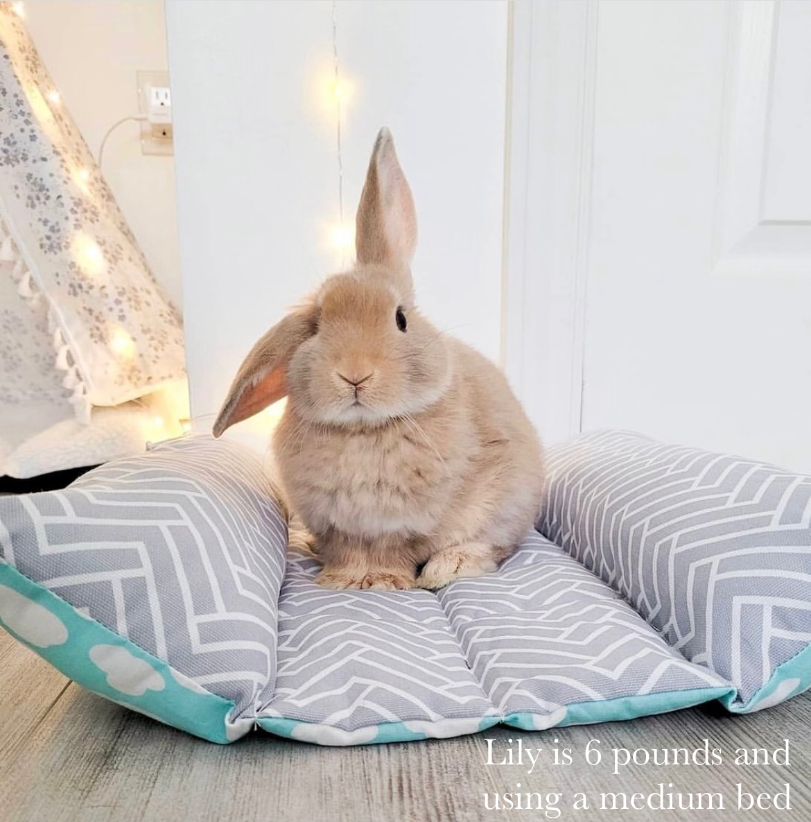 MEDIUM Bun Bed *20% off automatically applied at checkout* - Grey bunny