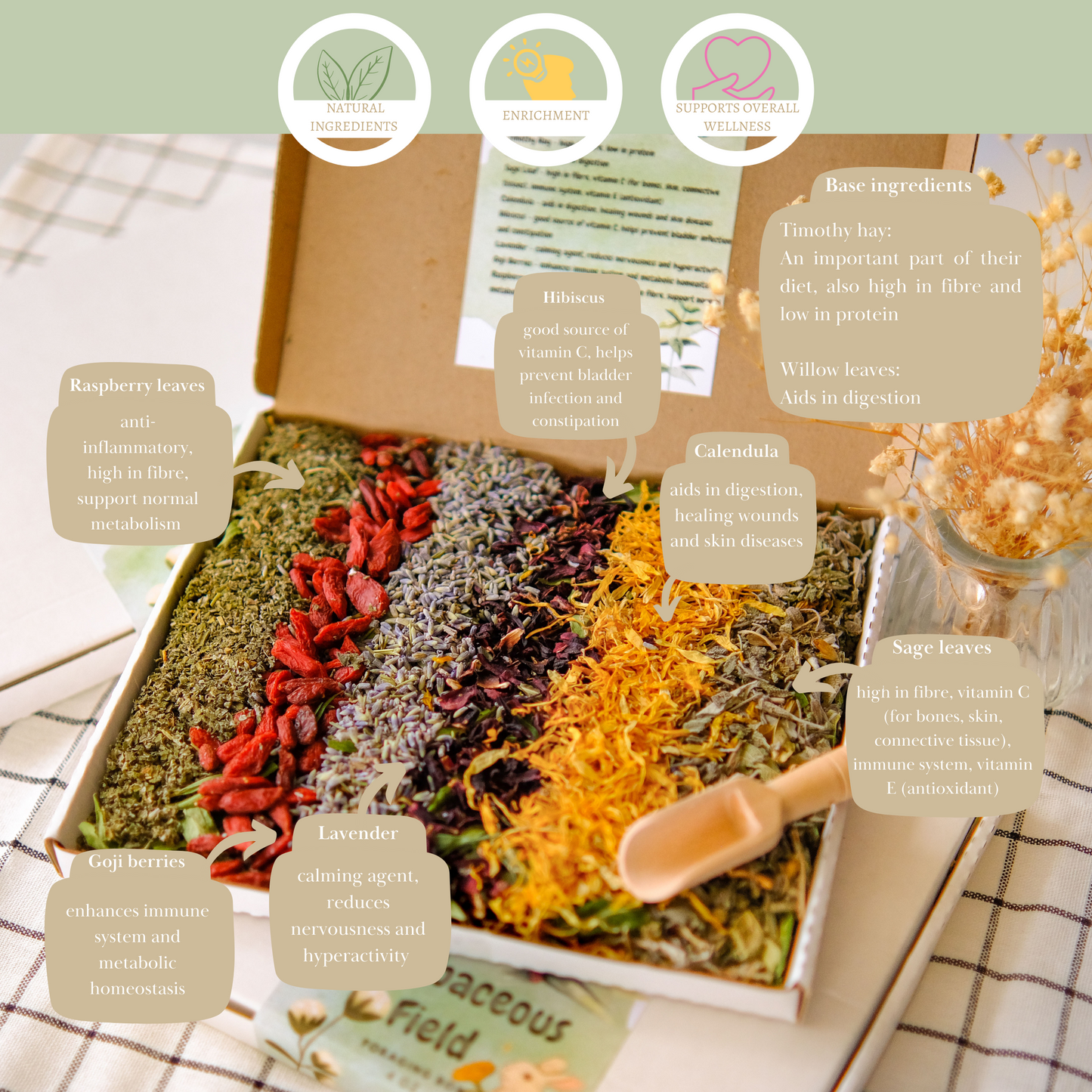 Herbaceous Fields | Foraging Box