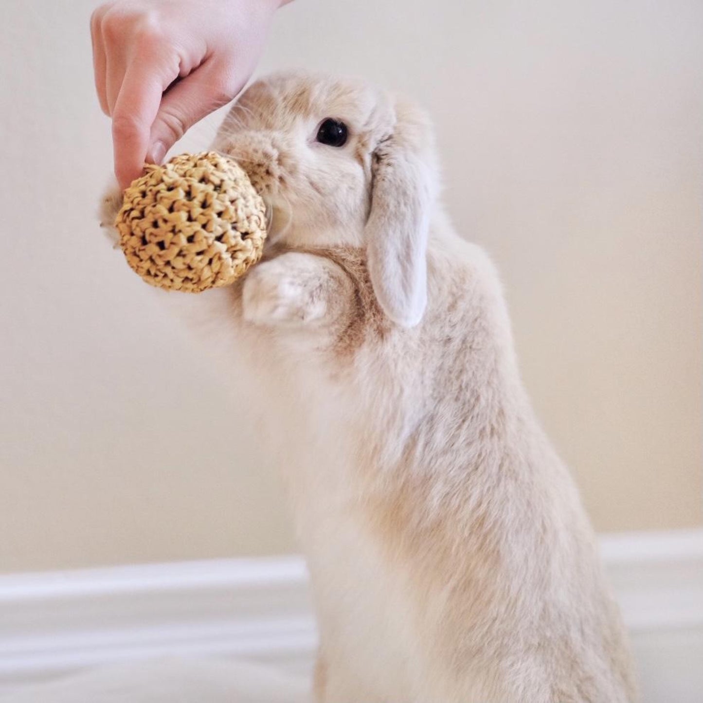 DIY Ball Chew